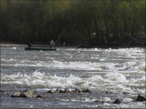 Fischer am Wehr in der alten Donau